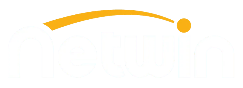 Netwin Logo